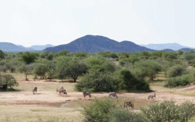 Otjandaue Hunting Safaris -“A Hunt to Remember”