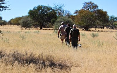 Hunting Calendar: Best Months to Hunt in Namibia